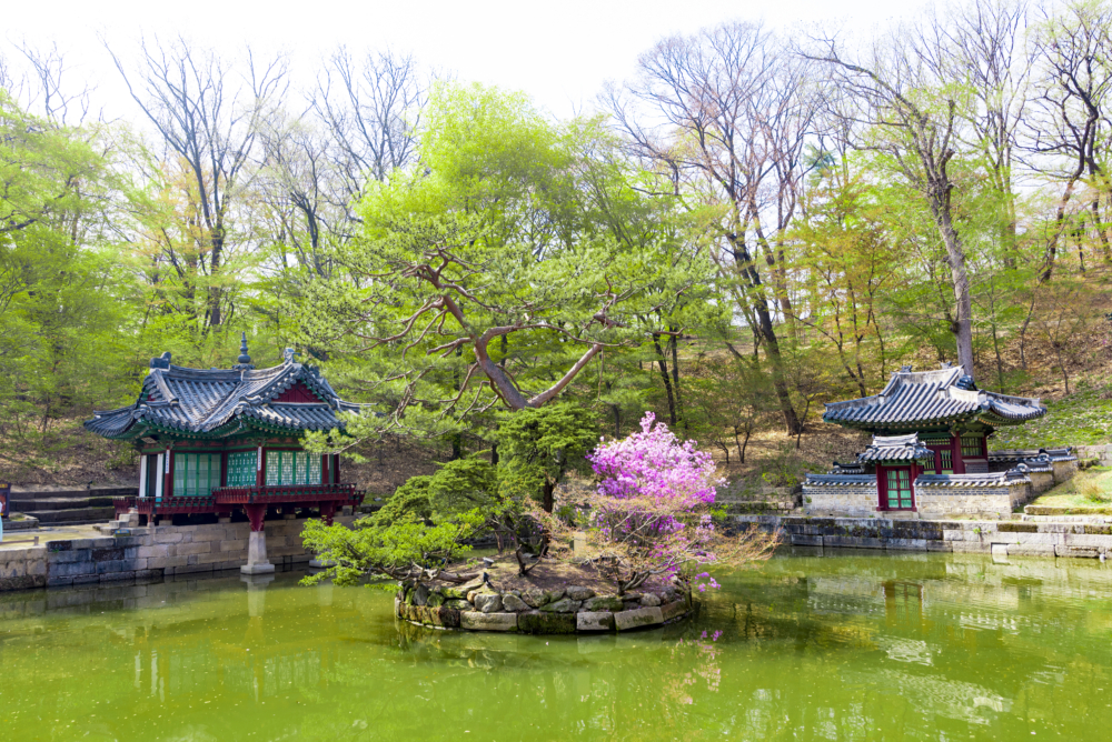 Visiting Seoul: 2-day itinerary