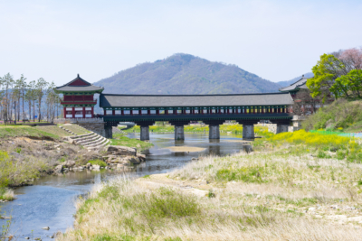 1-Day Gyeongju Itinerary: Explore Ancient Capital of Korea