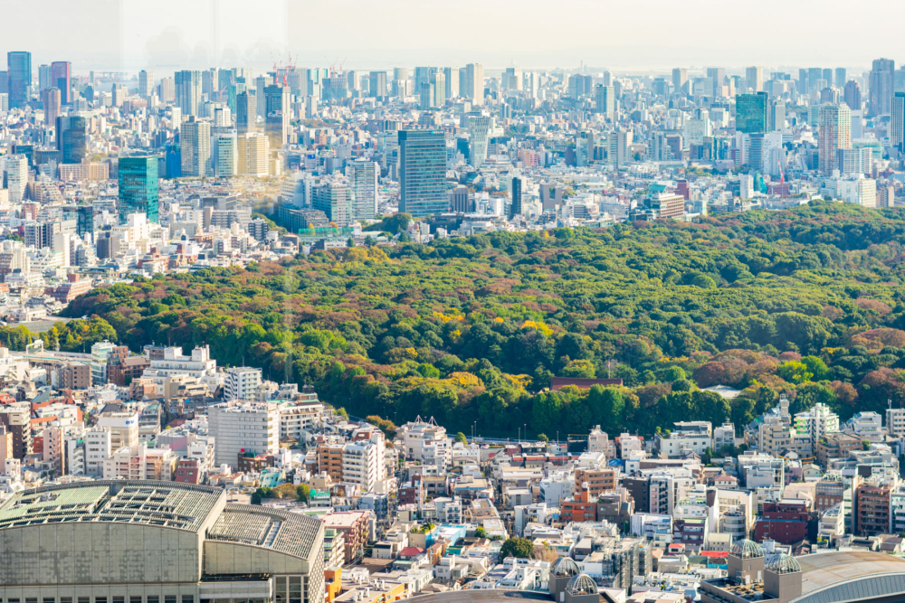 Shinjuku Itinerary: What to Do in Tokyo’s Busiest District